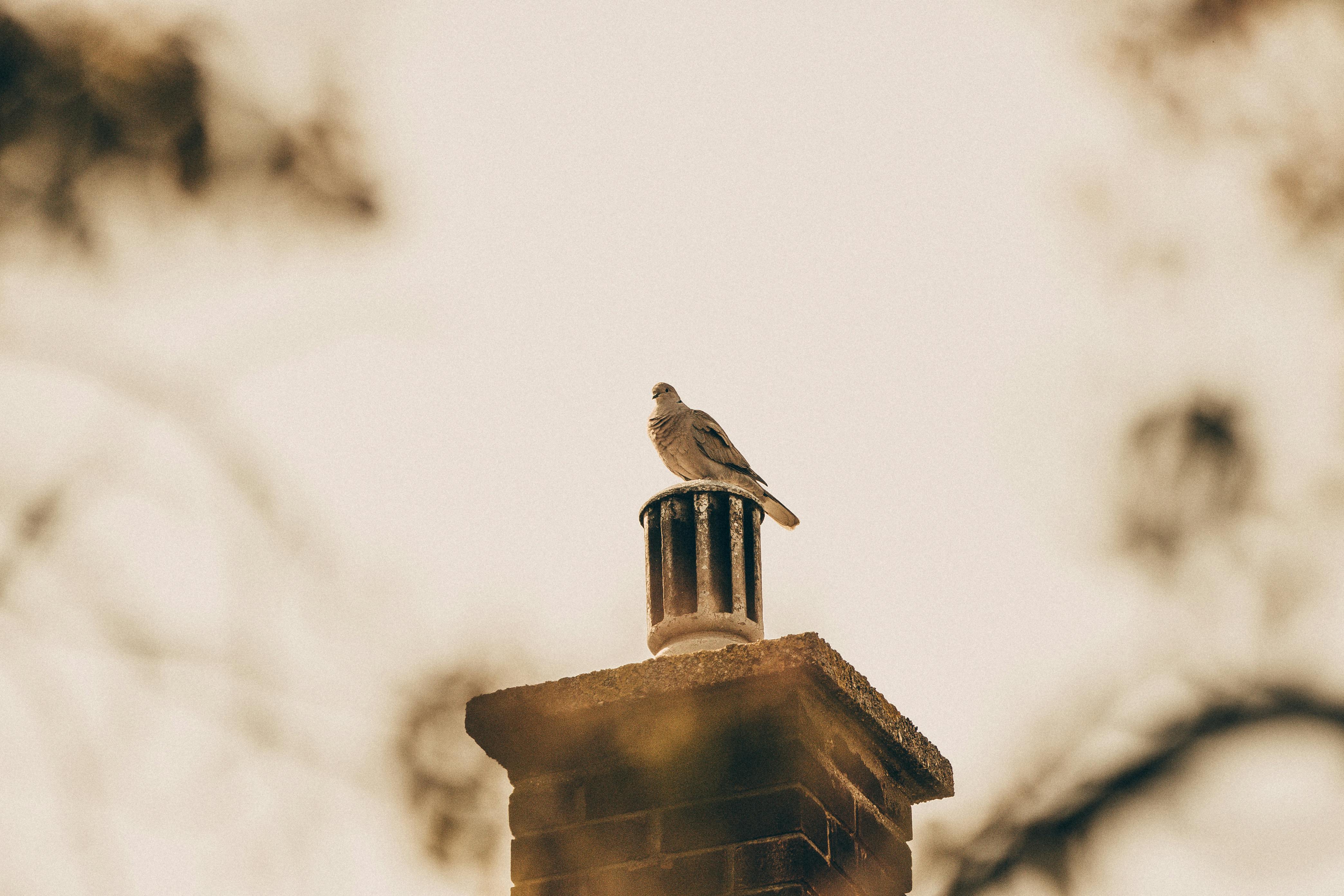 Professional Chimney Cap Installation Services in Beverly Hills, MI Expert Chimney Cap Installation in Beverly Hills, Michigan